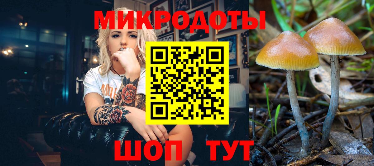 Галлюциногенные грибы мицелий Кстово
