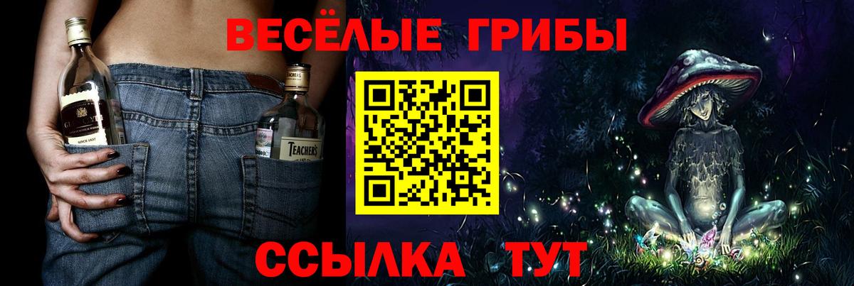Кстово  закладка  Вход с VPN  Галлюциногенные грибы Cubensis 